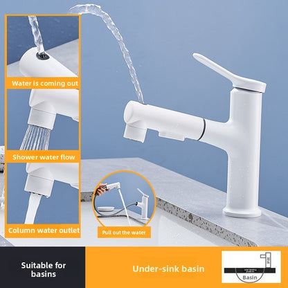 Pull-Out Basin Faucet