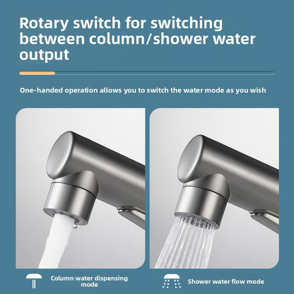 Pull-Out Basin Faucet